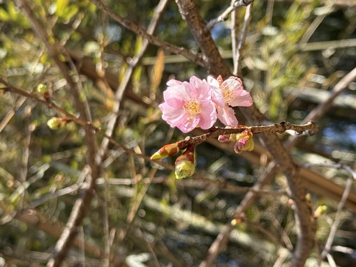 純(ｼﾞｭﾝ) 【3周年イベント】につきまして
