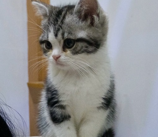 圭(ｹｲ) 被り客が気になる