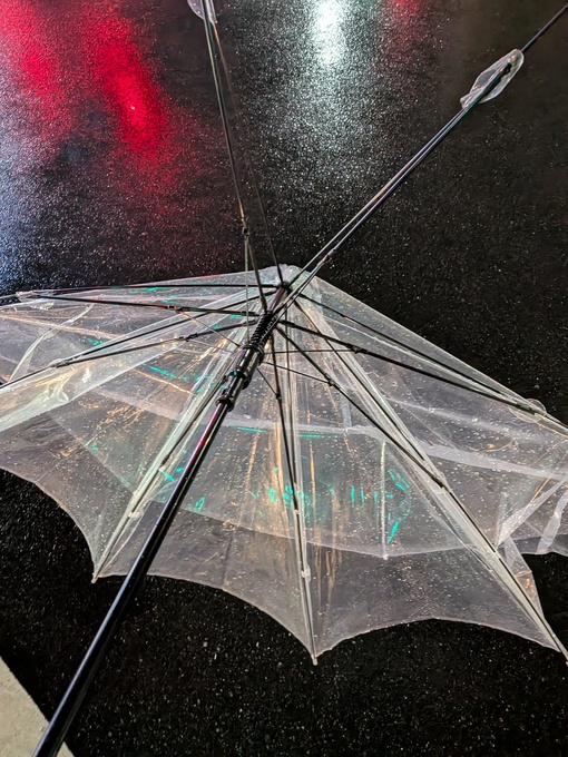 輝星(ｺｳｾｲ) なんで…