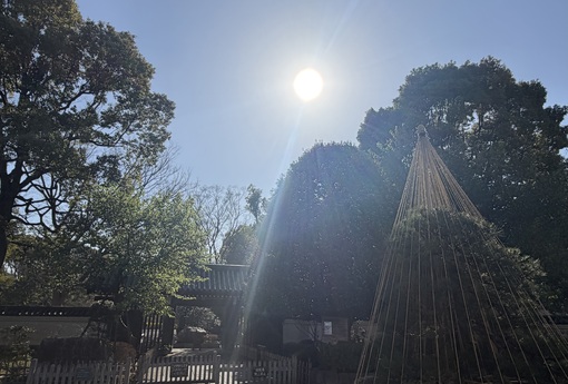 尚斗(ﾅｵﾄ) 🌲🚶🏻🌲