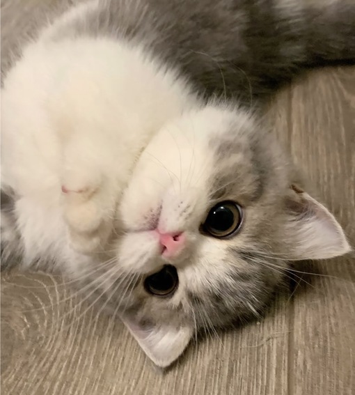 圭(ｹｲ) 女風利用頻度