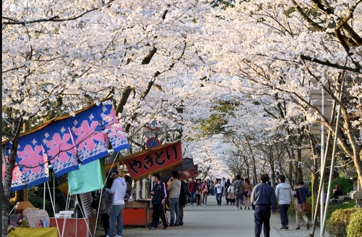 純(ｼﾞｭﾝ) 300分コースおすすめプラン①