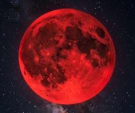 隆志(ﾀｶｼ) ォォオ🌕🐺オォォォ