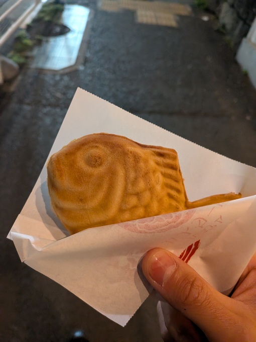 輝星(ｺｳｾｲ) 出来立ての