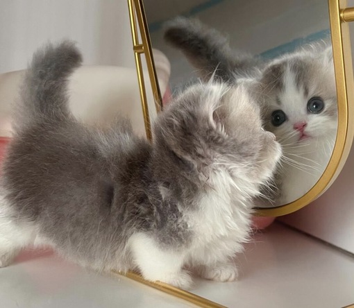 圭(ｹｲ) 300分の過ごし方