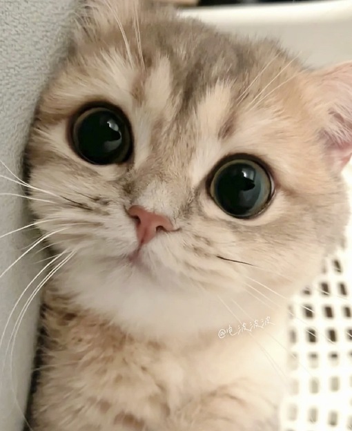 圭(ｹｲ) セラピストの嘘