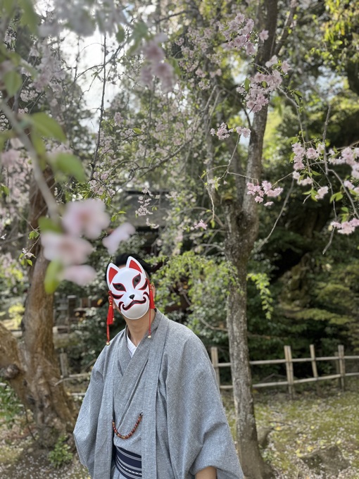 秀吉(ﾋﾃﾞﾖｼ) 狐と花見