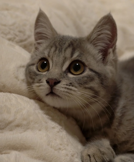 圭(ｹｲ) セラピストの敬語