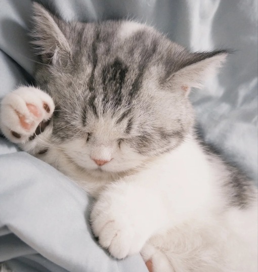 圭(ｹｲ) セラピストの性欲