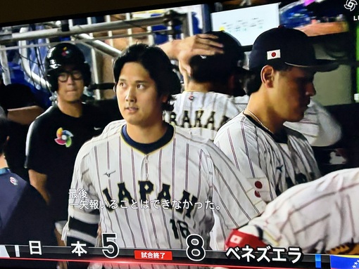 尚斗(ﾅｵﾄ) WBC