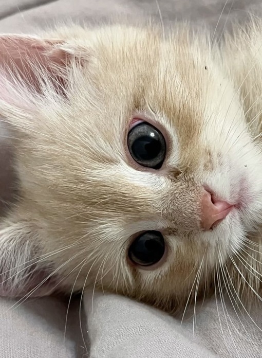 圭(ｹｲ) セラピストの人柄