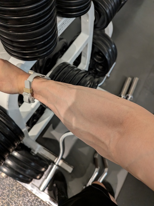 輝星(ｺｳｾｲ) 血管フェチ？