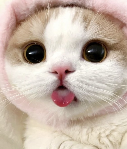 圭(ｹｲ) 改札でのキス