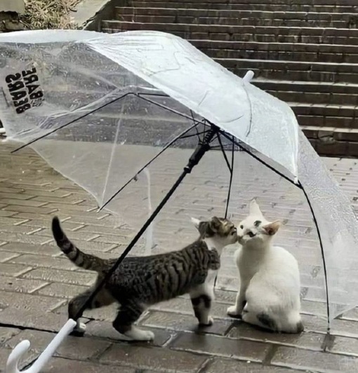 圭(ｹｲ) オススメの待ち合わせ