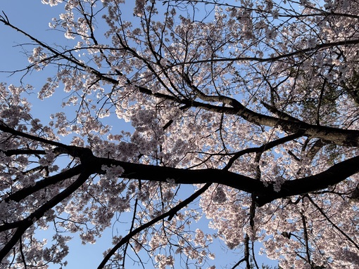 尚斗(ﾅｵﾄ) 都内某所