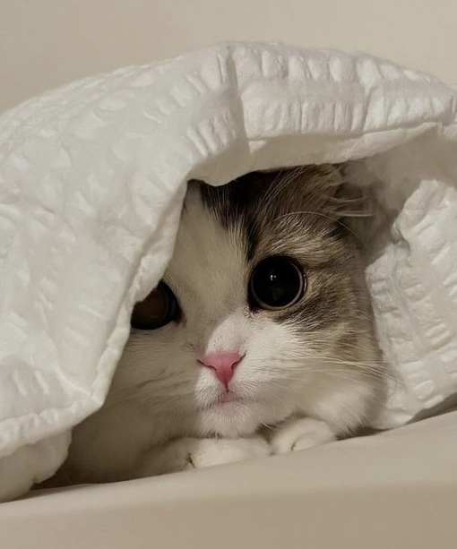 圭(ｹｲ) セラピからのDMが減る