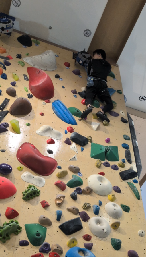 輝星(ｺｳｾｲ) TOP