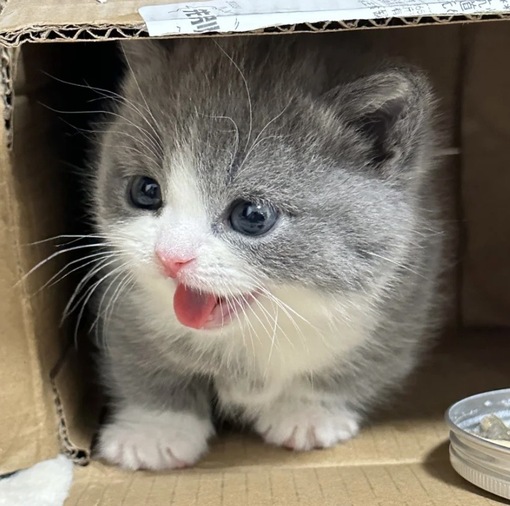 圭(ｹｲ) カウンセリングは大事