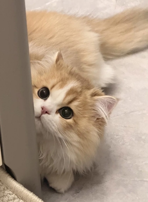 圭(ｹｲ) こまめな声掛けが大切