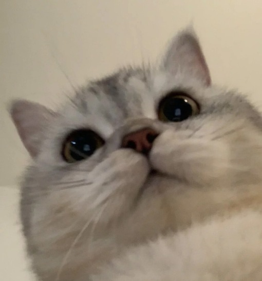 圭(ｹｲ) 好きなオイルの香り