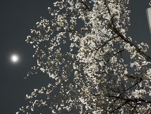 尚斗(ﾅｵﾄ) お疲れ様です