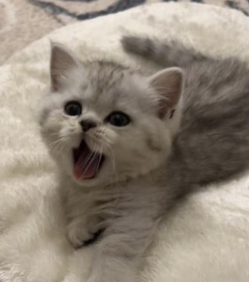 圭(ｹｲ) 施術中のBGM