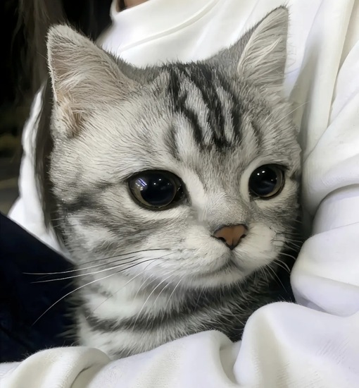 圭(ｹｲ) 顔射、好きですか?