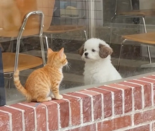 圭(ｹｲ) 性病検査