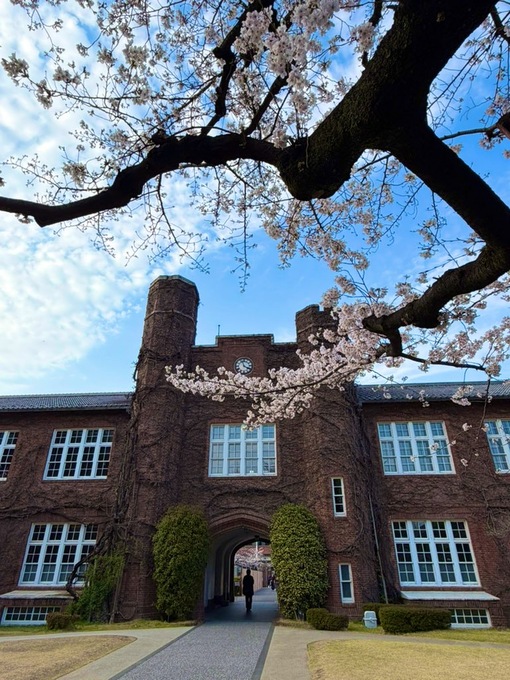 尚斗(ﾅｵﾄ) お花見