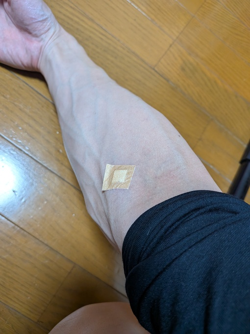 輝星(ｺｳｾｲ) 検査！💉