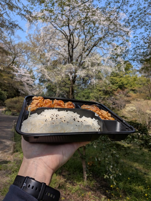 輝星(ｺｳｾｲ) 🌸お花見🌸