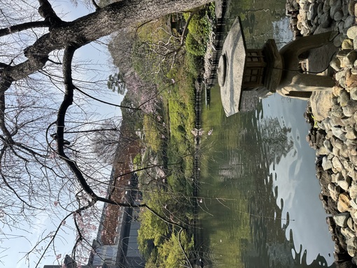 秀吉(ﾋﾃﾞﾖｼ) 年度末