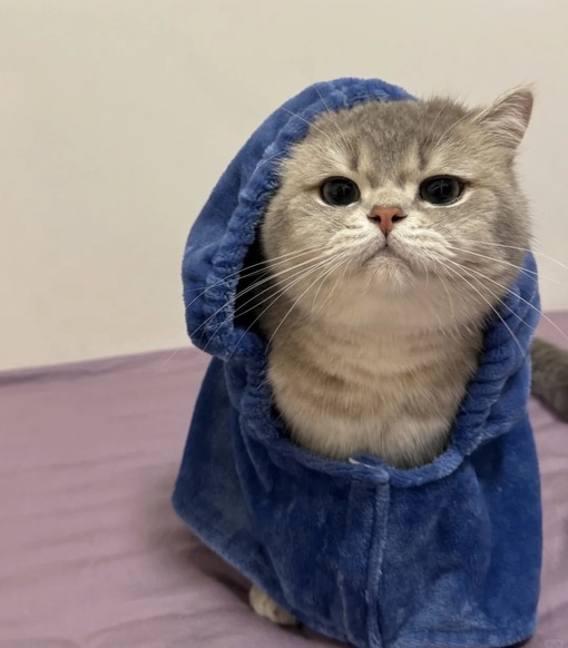 圭(ｹｲ) 紐パンチャレンジ