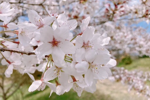涼真 (ﾘｮｳﾏ) 皆様ありがとうございました😌