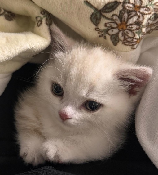 圭(ｹｲ) ホテル先入り