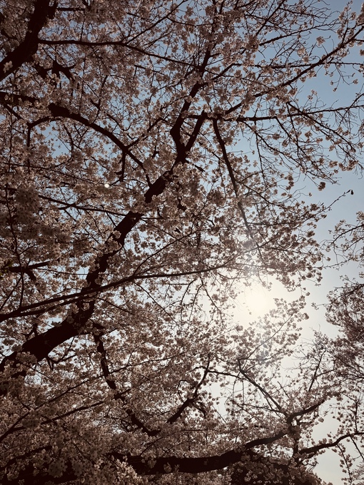 純(ｼﾞｭﾝ) お礼とご挨拶