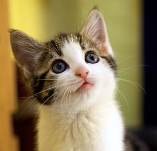 圭(ｹｲ) 性感で束縛