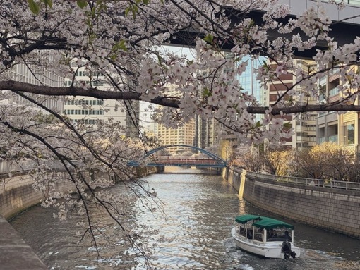 尚斗(ﾅｵﾄ) お疲れ様です
