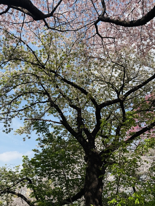 純(ｼﾞｭﾝ) ご連絡