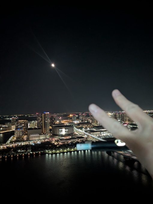 輝星(ｺｳｾｲ) 🤒