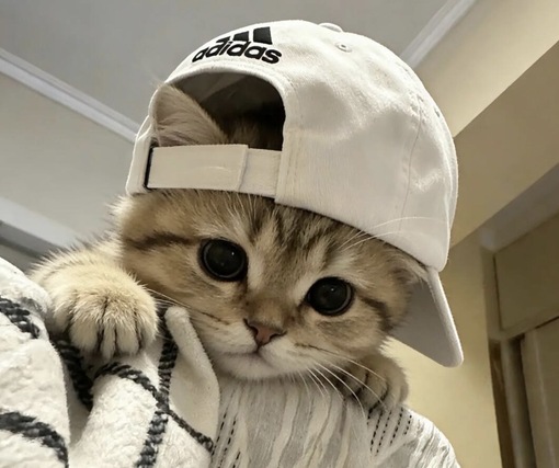 圭(ｹｲ) クンニがお仕事