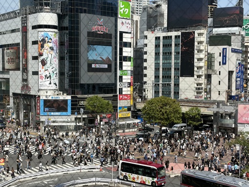 尚斗(ﾅｵﾄ) ☀️✨