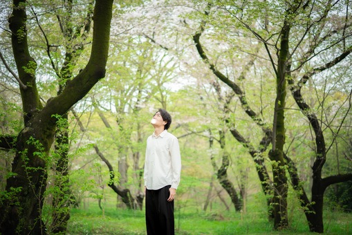 仁(ｼﾞﾝ) 綾鷹のCMみたい