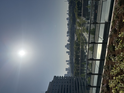 秀吉(ﾋﾃﾞﾖｼ) ルーフトップ