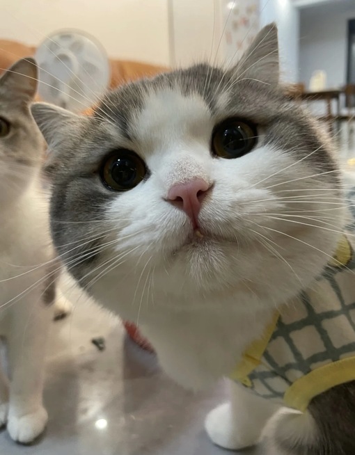 圭(ｹｲ) 泣くまでイラマ