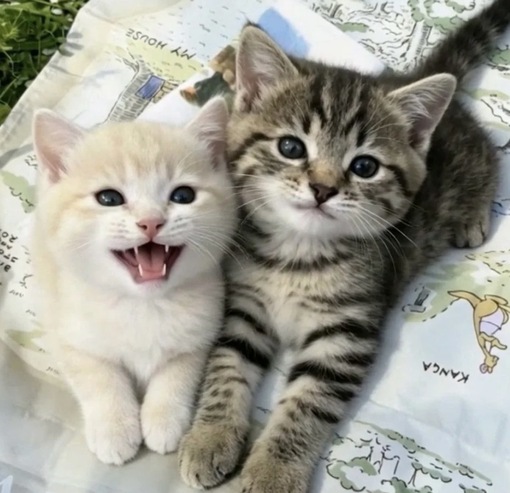 圭(ｹｲ) 予約の日の朝にする事