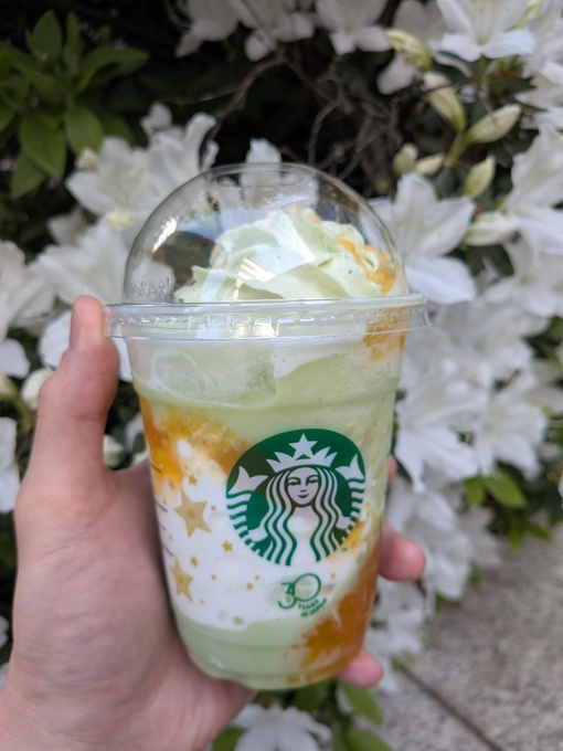 輝星(ｺｳｾｲ) 君にメロメロ