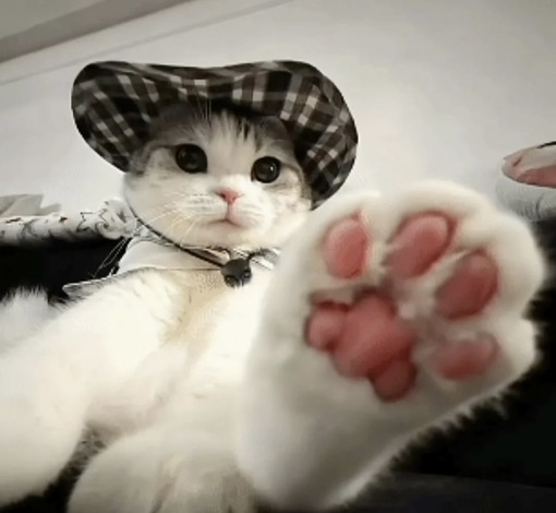 圭(ｹｲ) 誕生日の女風利用