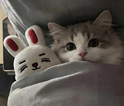 圭(ｹｲ) キャンセルしたい