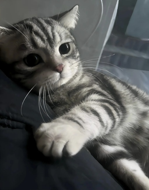 圭(ｹｲ) セラピのギャップ